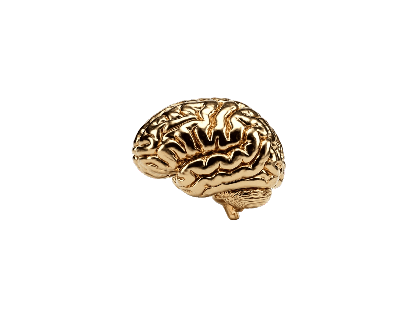 A metallic gold sculpture of a human brain in side profile, on a black background.
