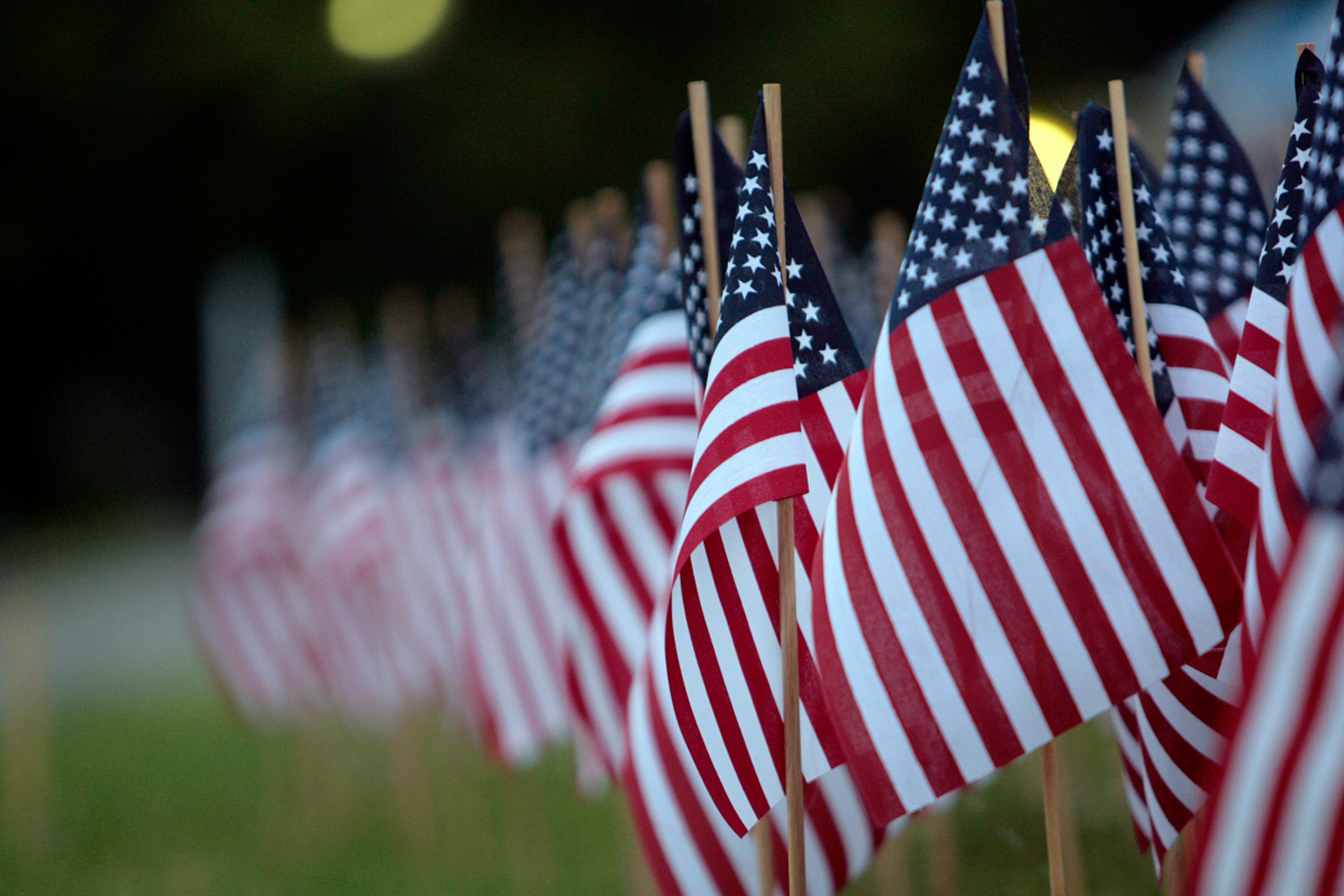 many american flags are lined up in a row