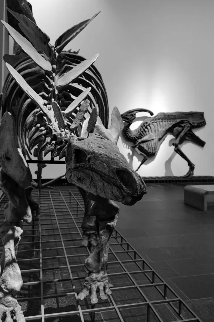 Fly by private jet to Albania beautiful bridge - Lake Ohrid Dinaric peaks