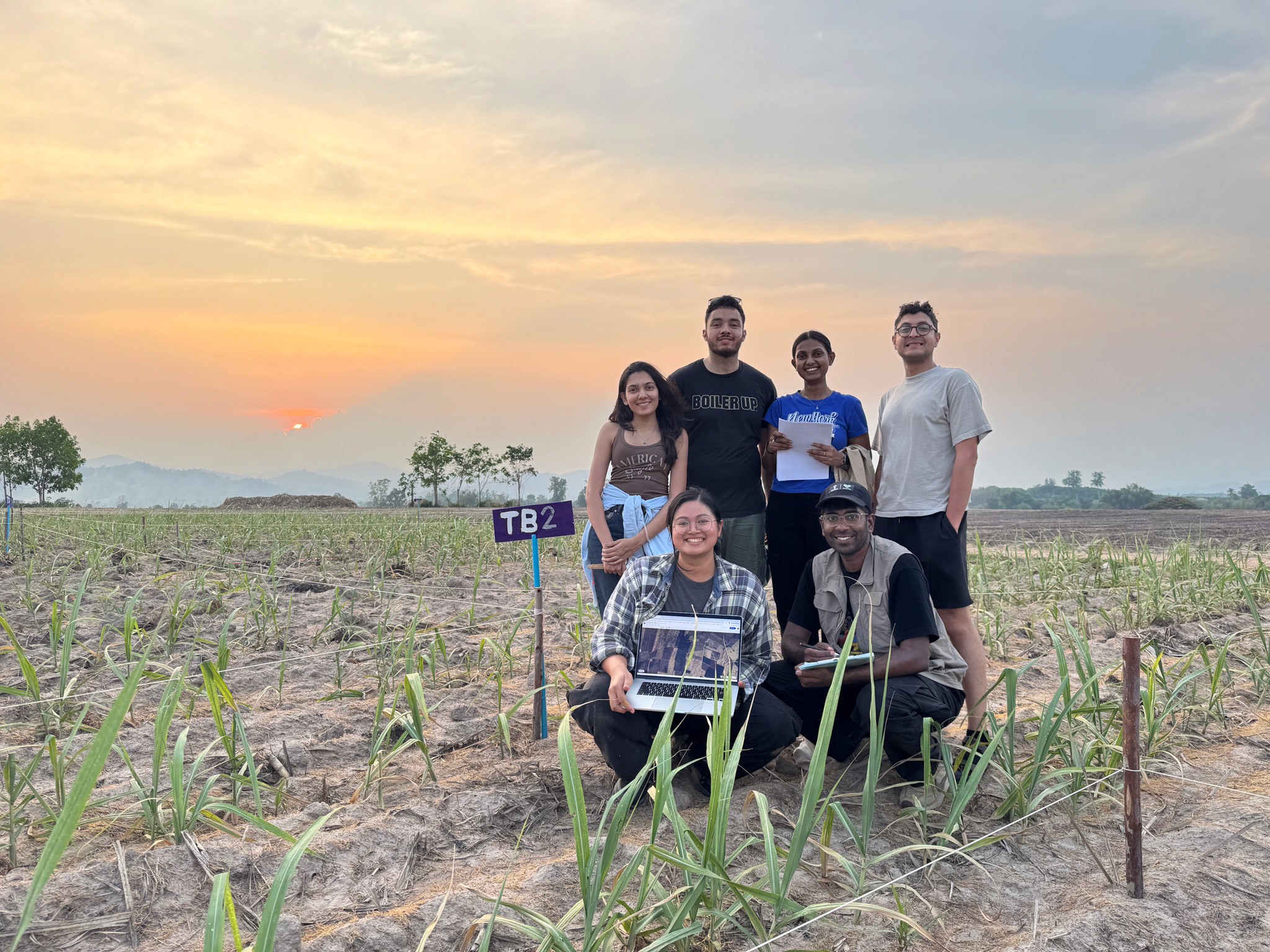 Sugarcane Biochar Research_Happy Ground_KTIS
