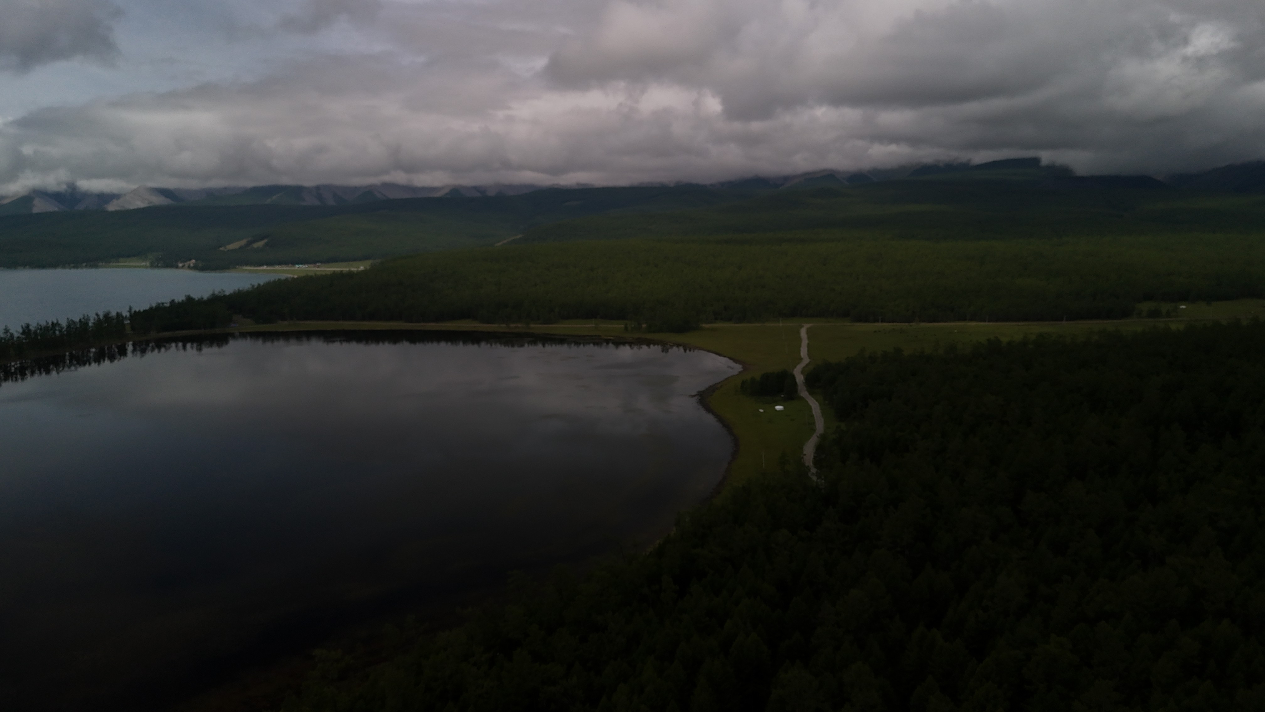 Close-up of a dark green leaf showing its textured surface and central vein against a muted background.