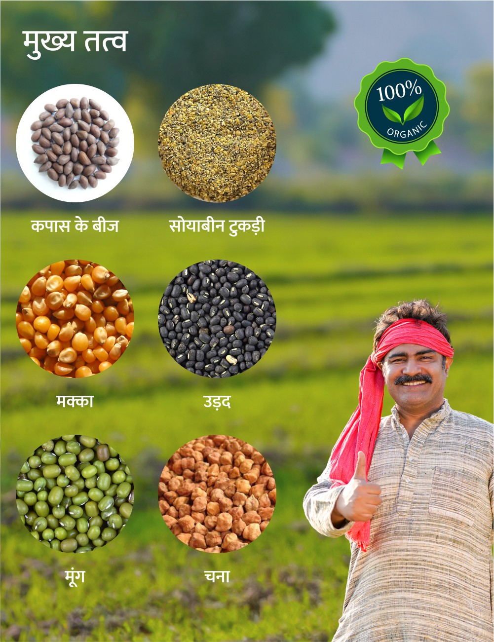 Premium Payal kisan brand churi ingredients