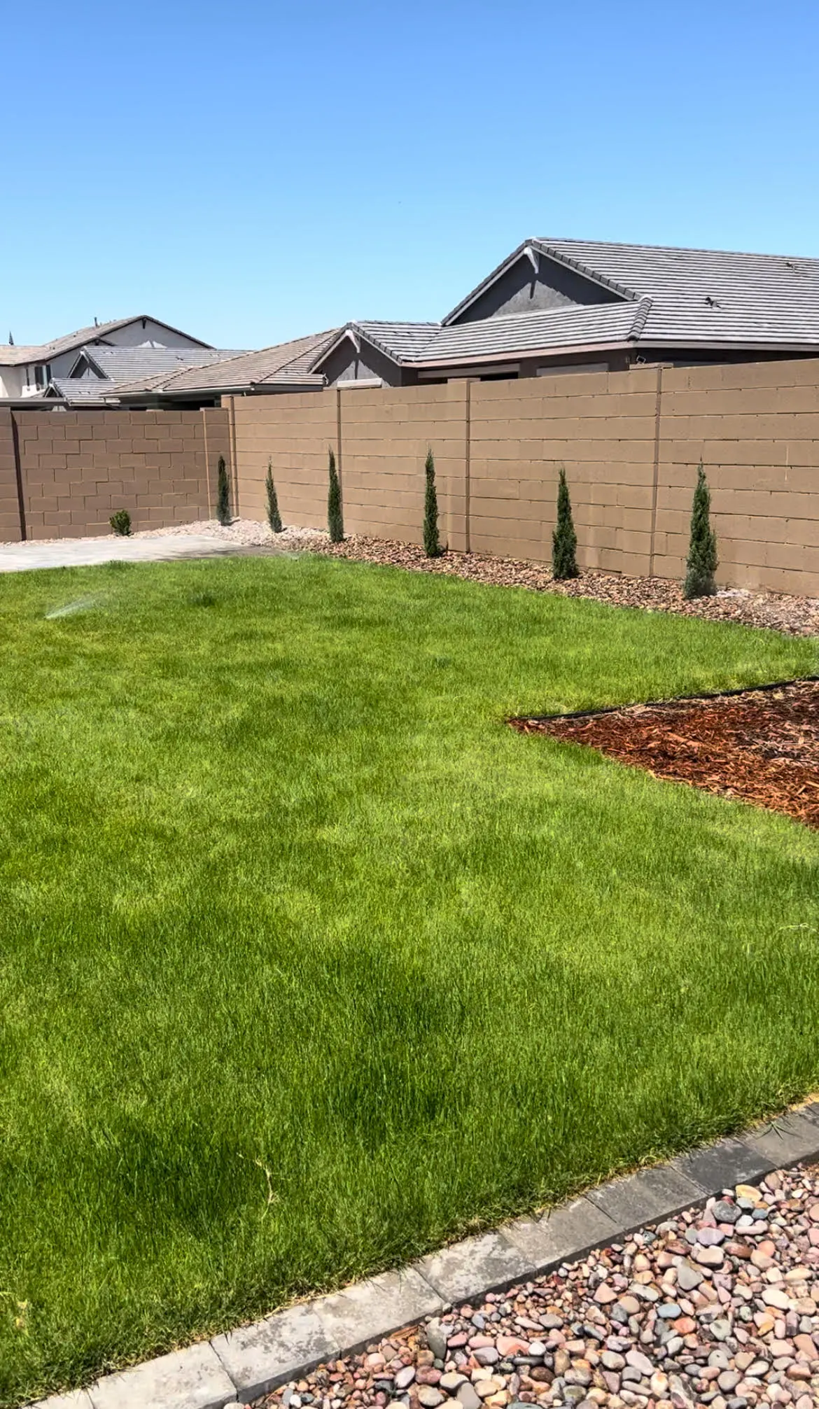 Sod with irrigation system