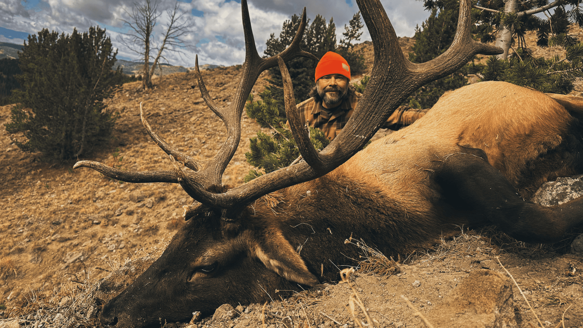 Human Predator Packmule