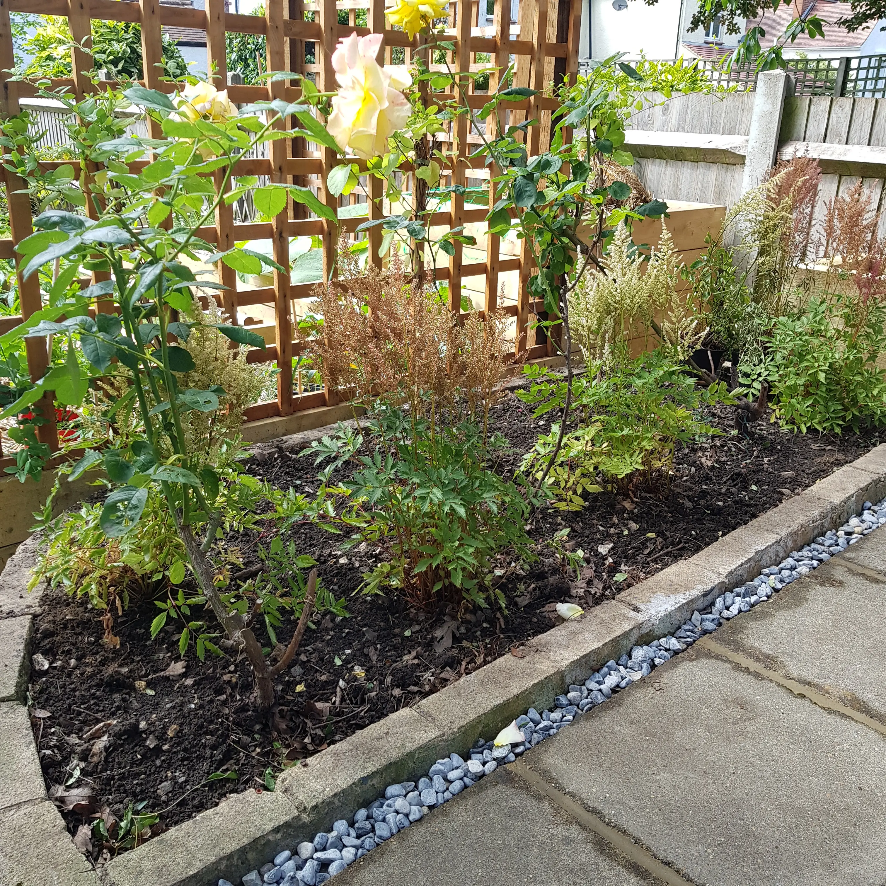 A neatly arranged garden bed with various plants along a trellis, set on a paved walkway.