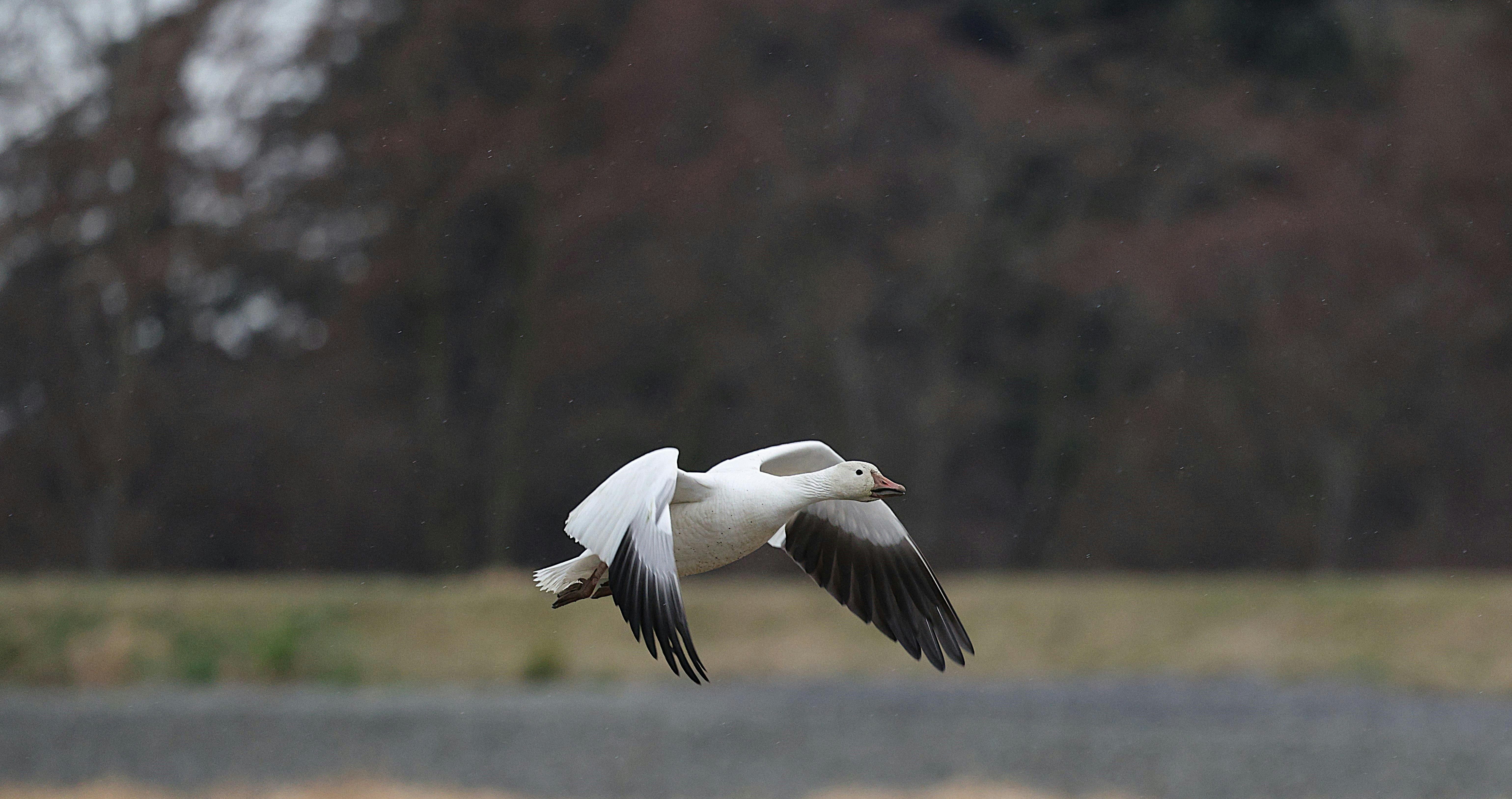 Surfer cleaning Surf board