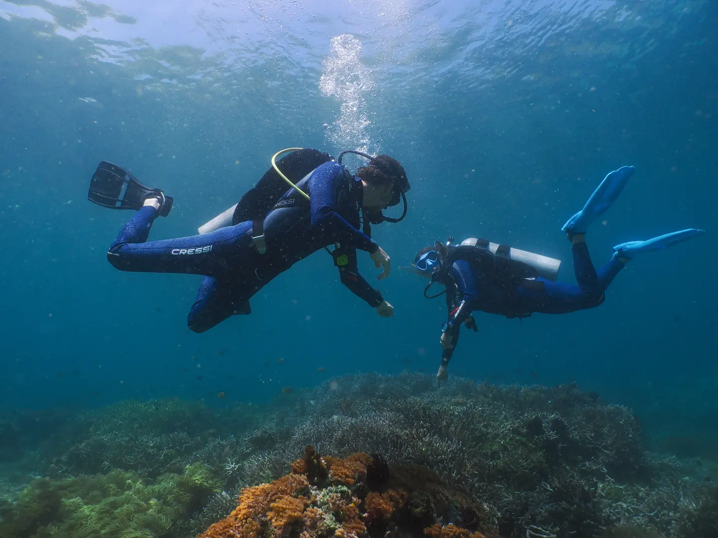 two divers looking at each other under water