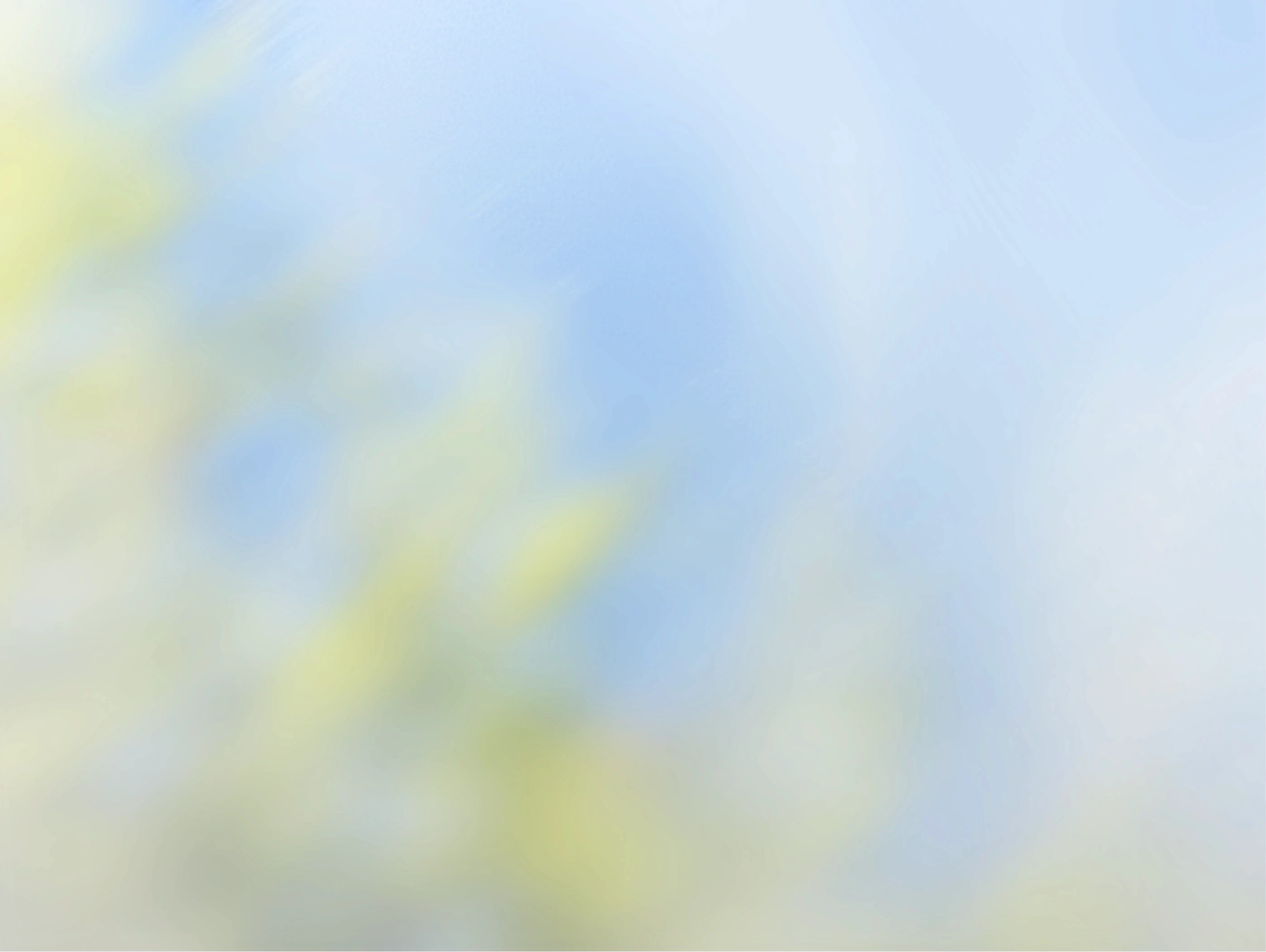 Women Orange BG