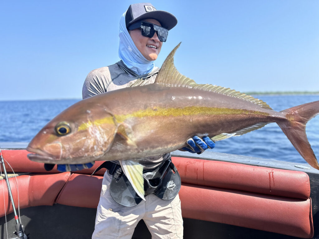 Amber Jack fishing in Maldives