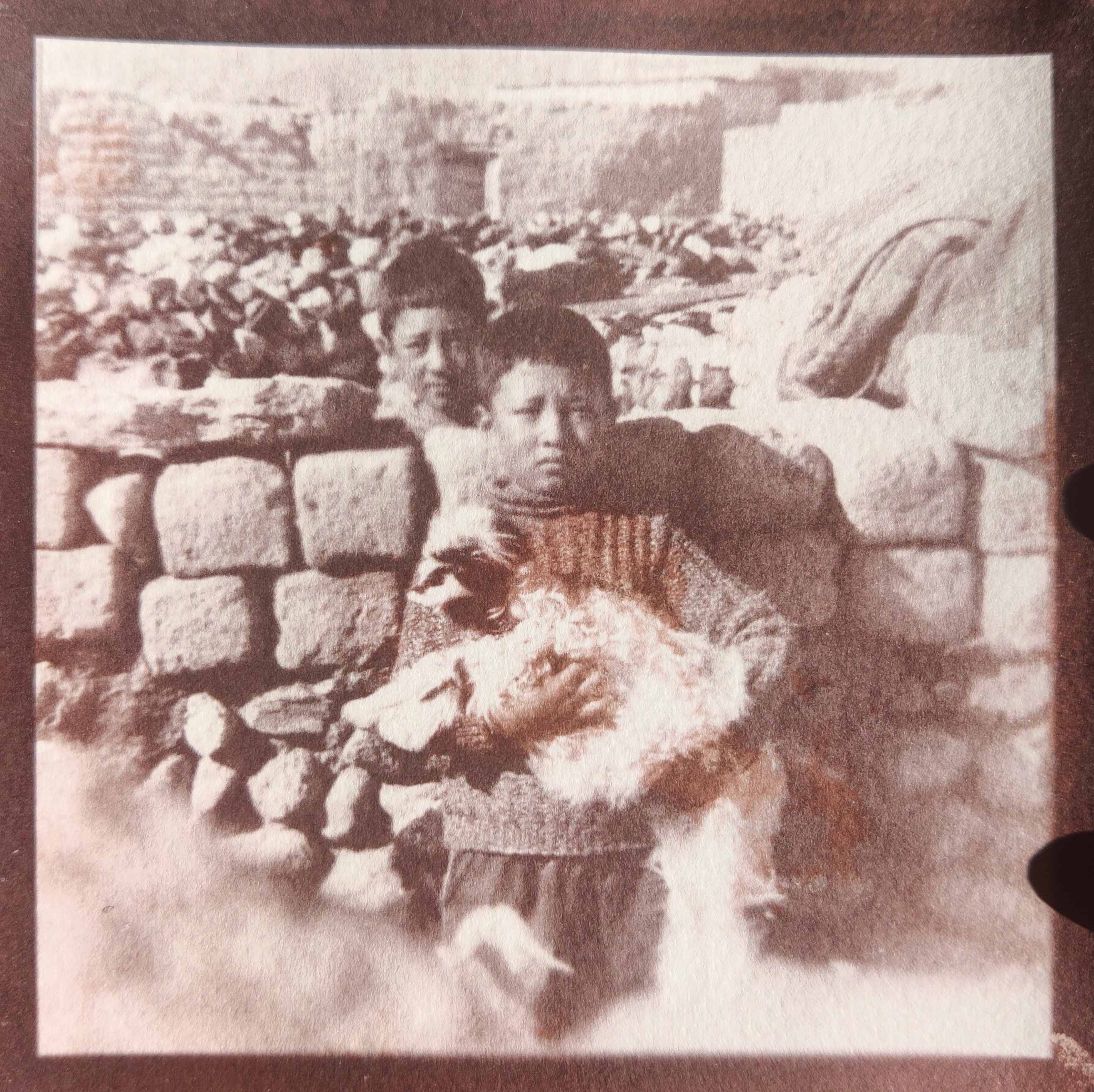 herd of sheep on road painting