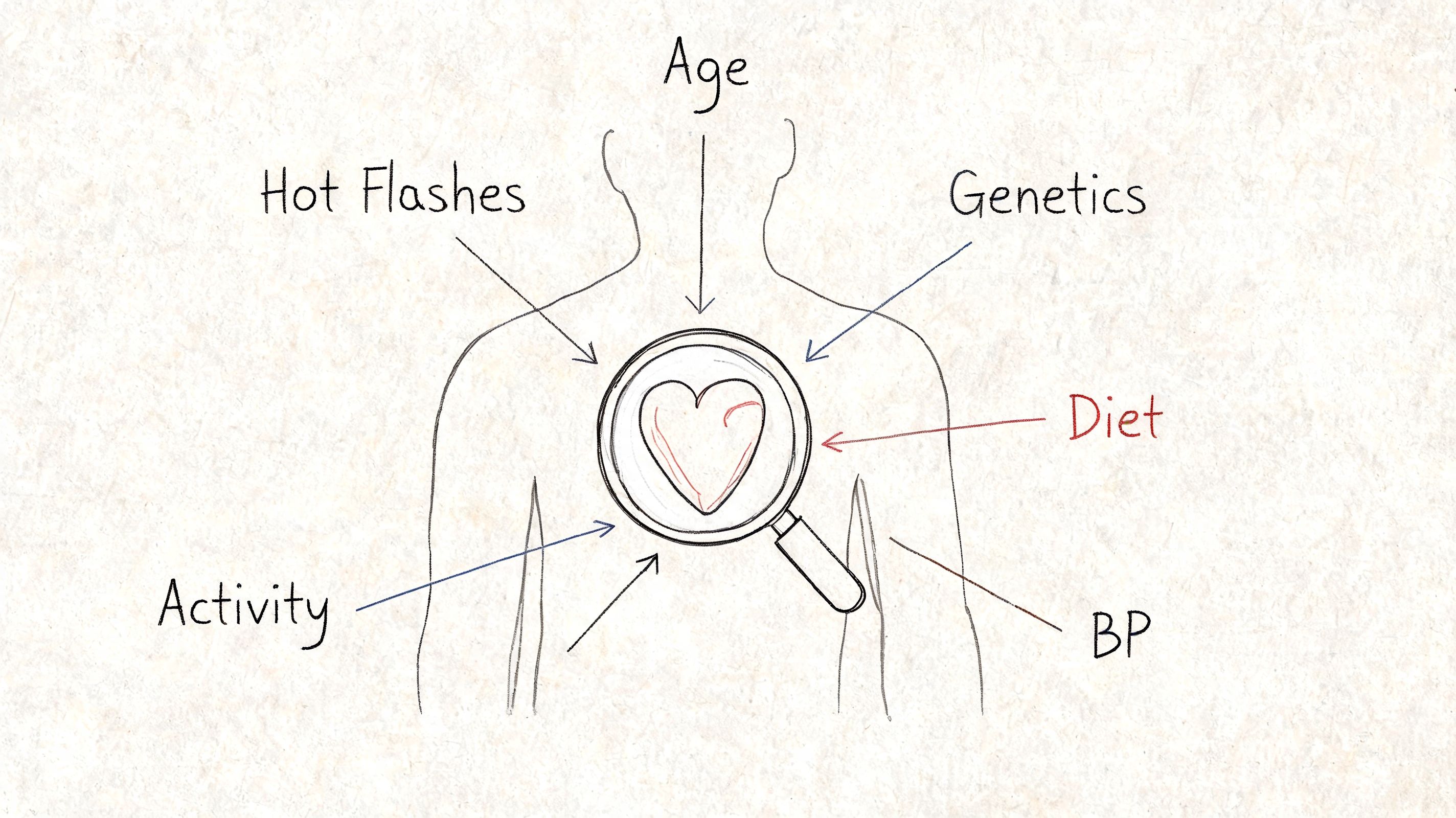 A hand-drawn illustration showing a heart under a magnifying glass, surrounded by various health risk factors.