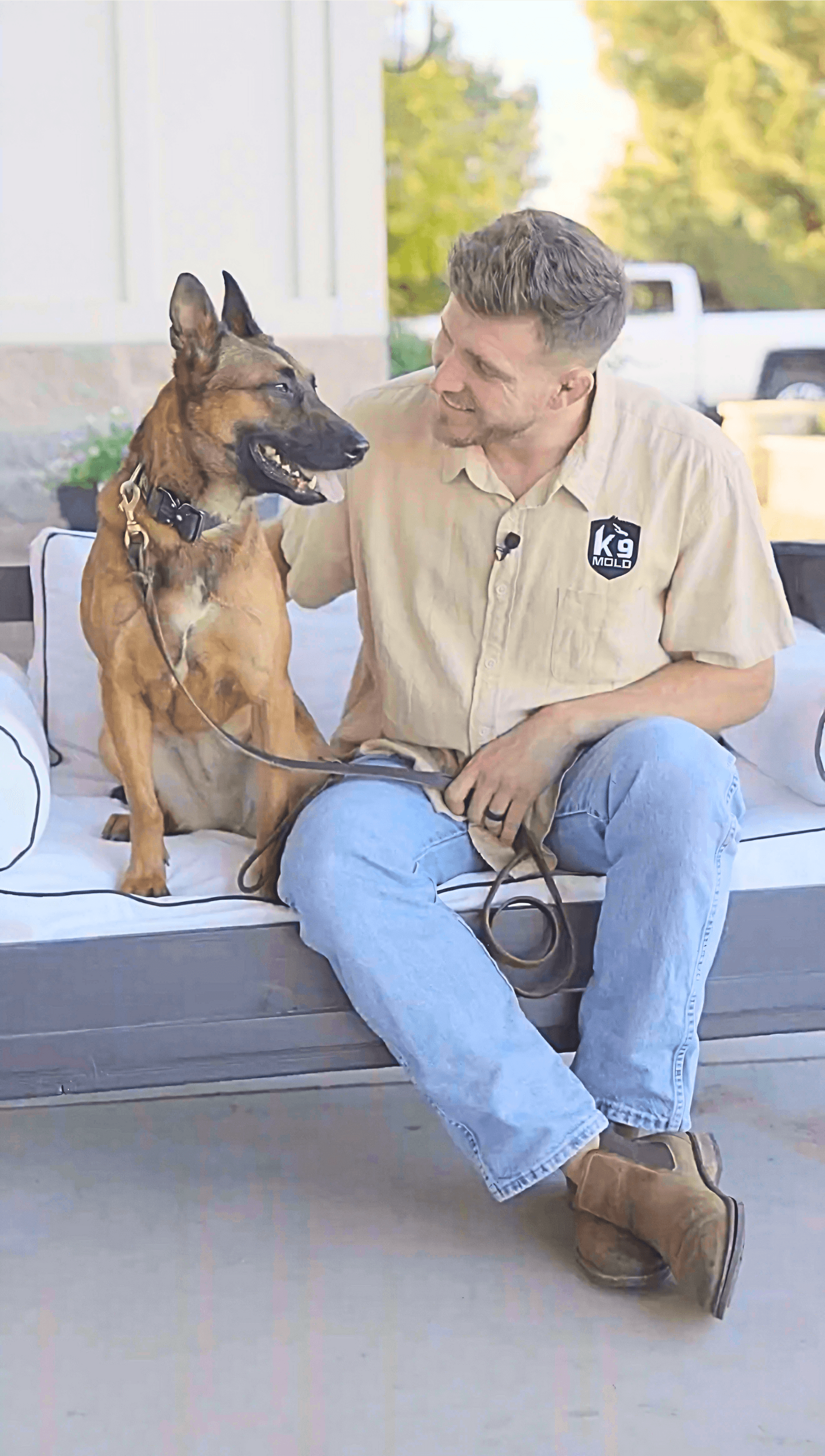 k9 Mold Team - mold dog arizona
