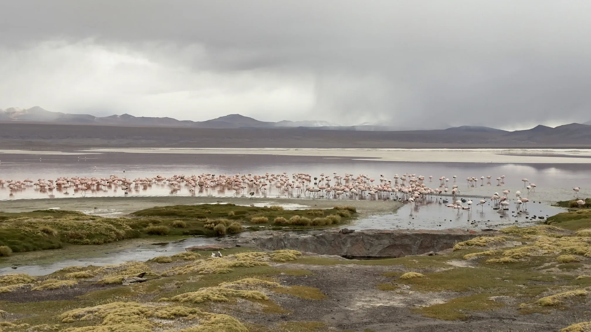 Une lagune immense à la couleur rouge sang avec des centaines de flamants des Andes