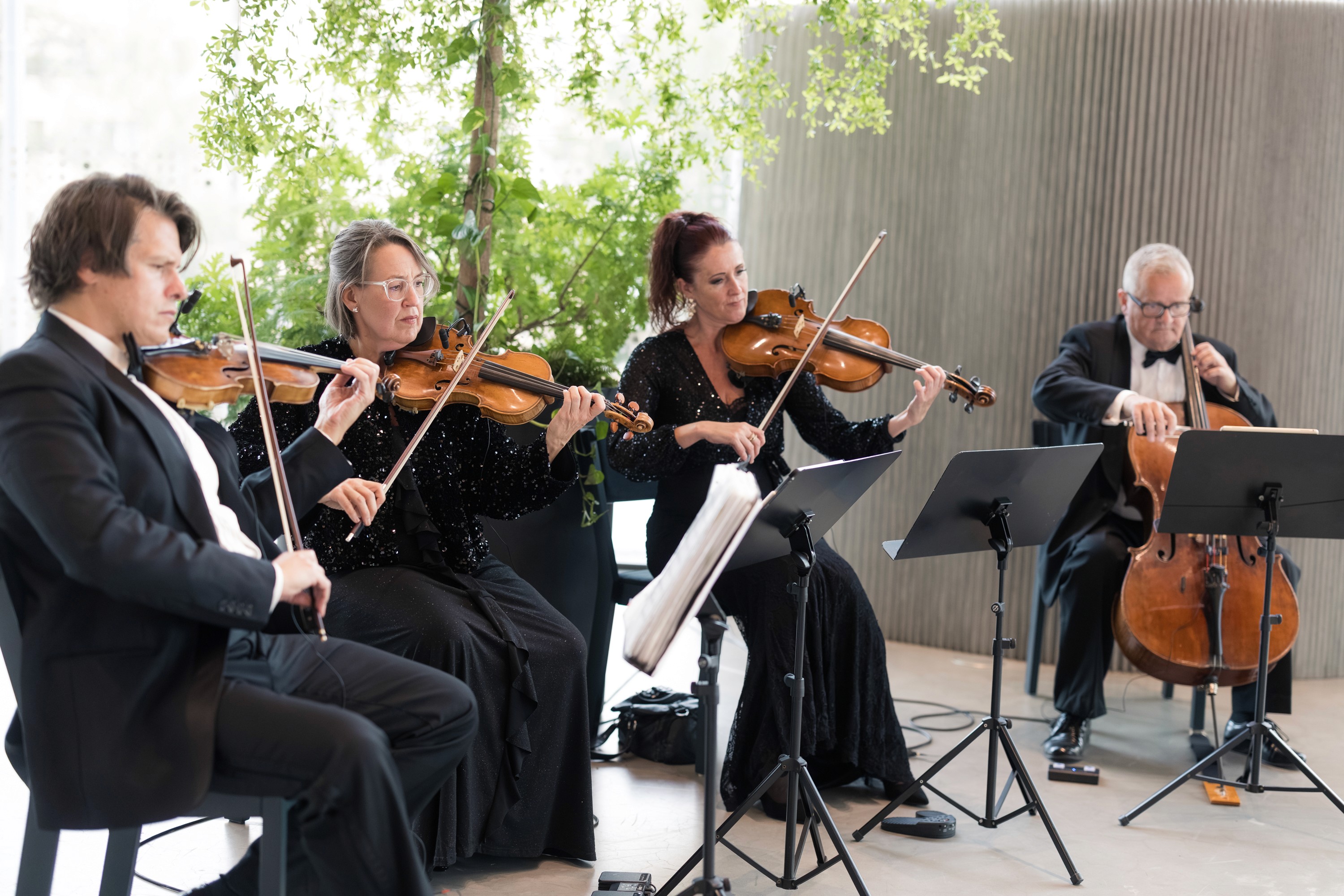 musiker i svart slips som spelar klassiska instrument