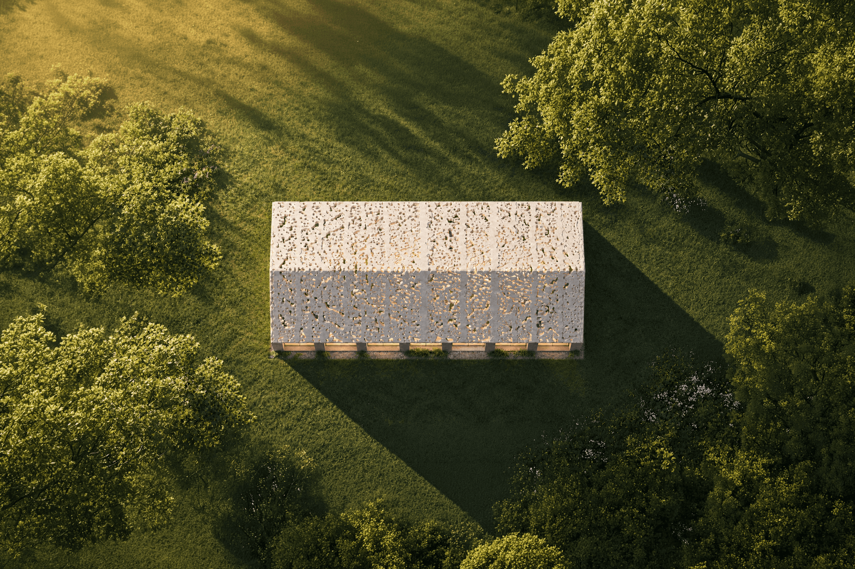 Top view of the TAM backyard home surrounded by trees and grass