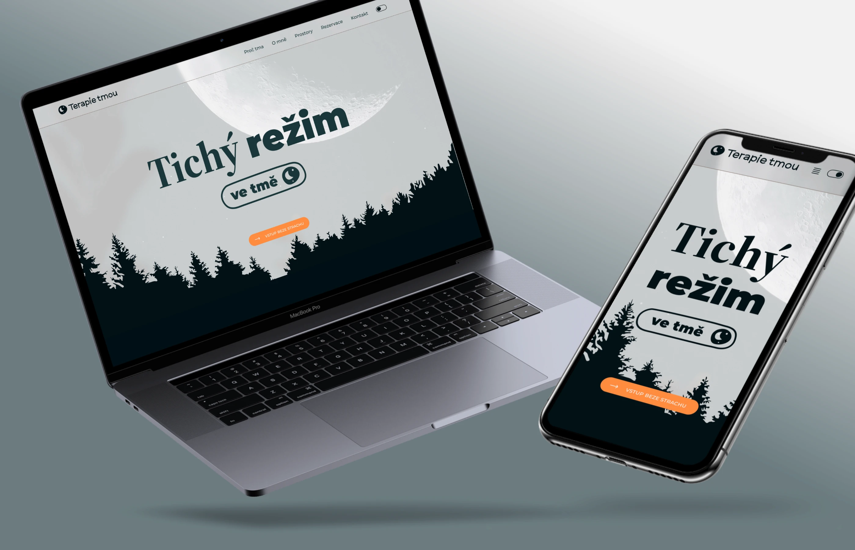 Mini manuál loga Maturikon (pravidla použití a varianty) a design UI oken pro login a registraci.
