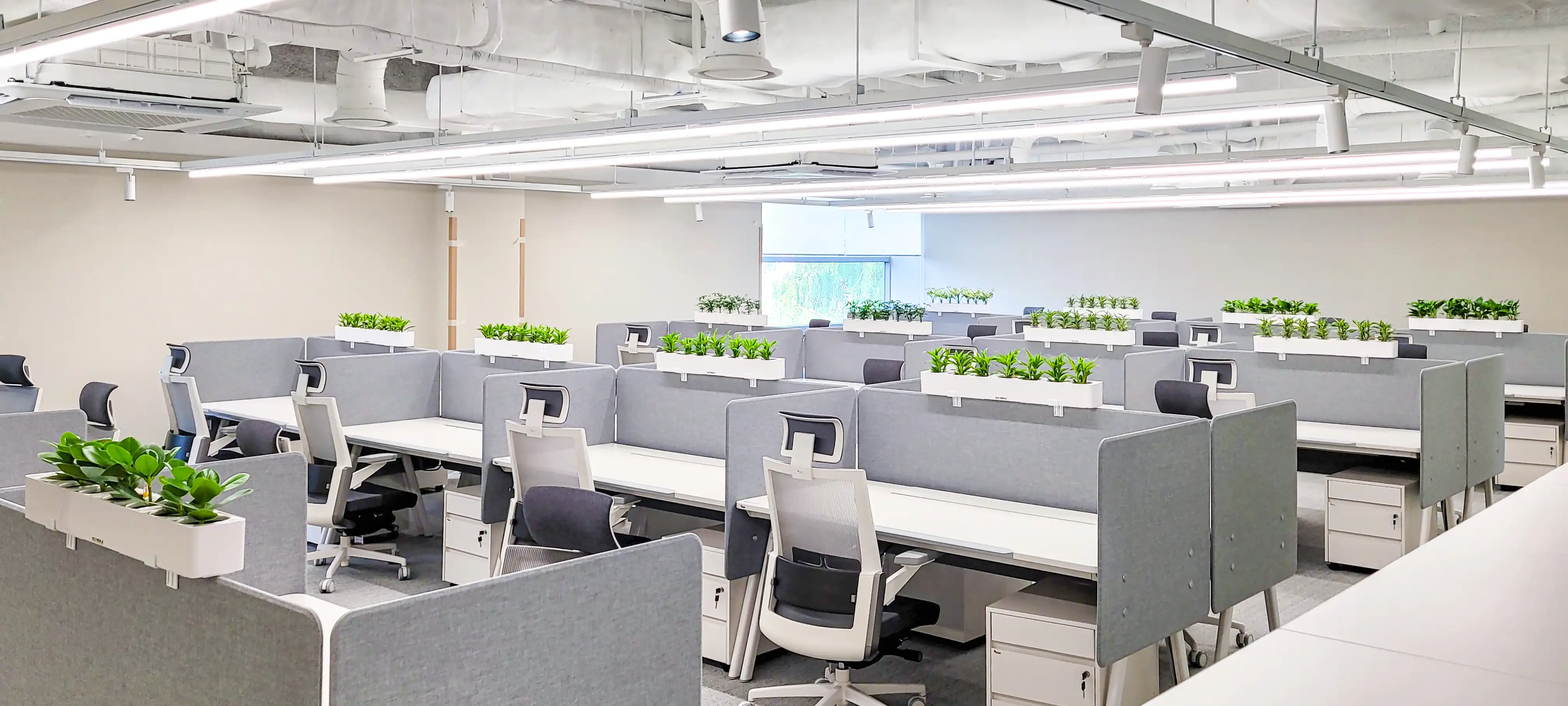 에코팟을 활용한 플랜테리어 인테리어가 사무실에 조성되었다