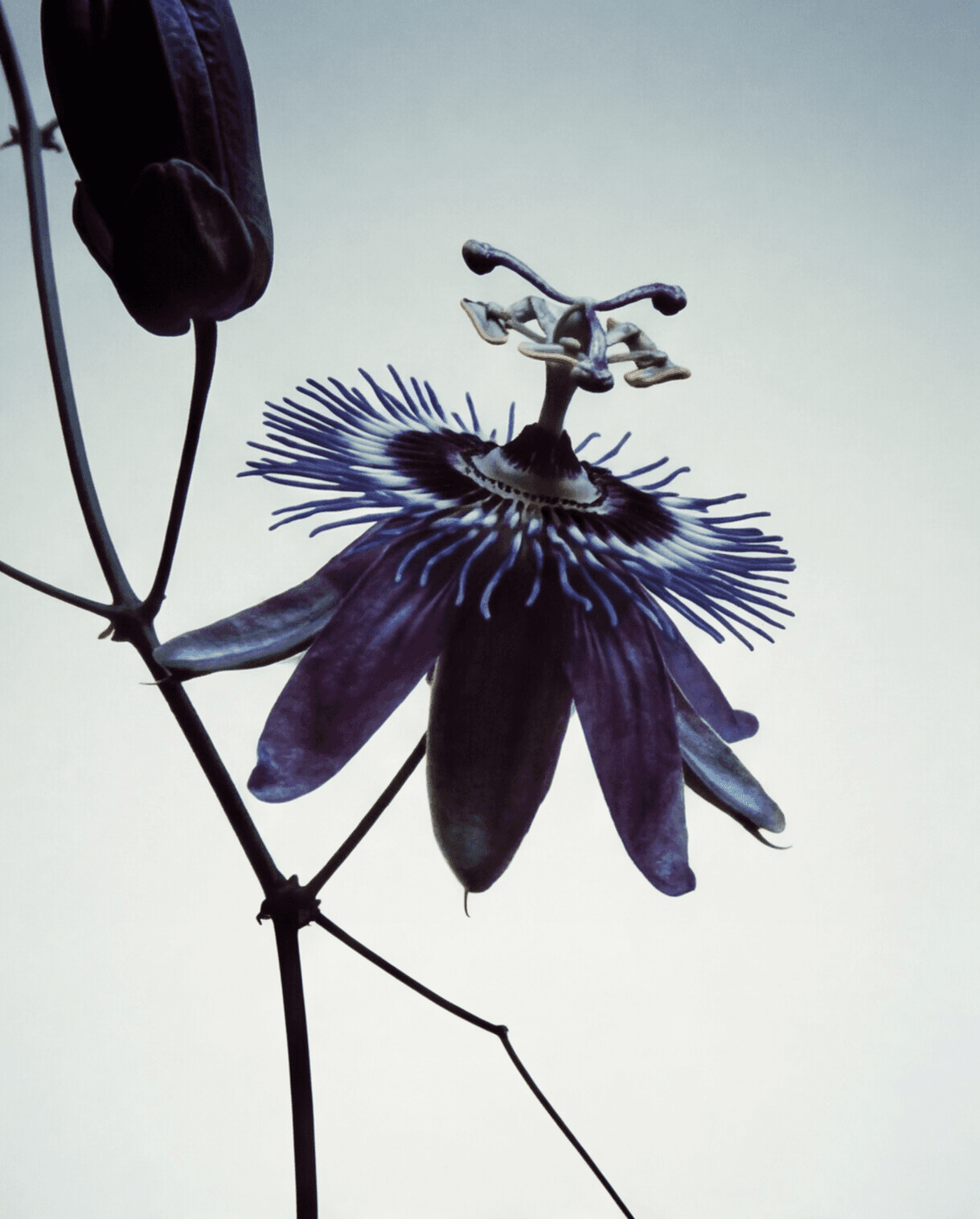 Batch.Works product catalogue book on a work top with a graphic printed image on the front