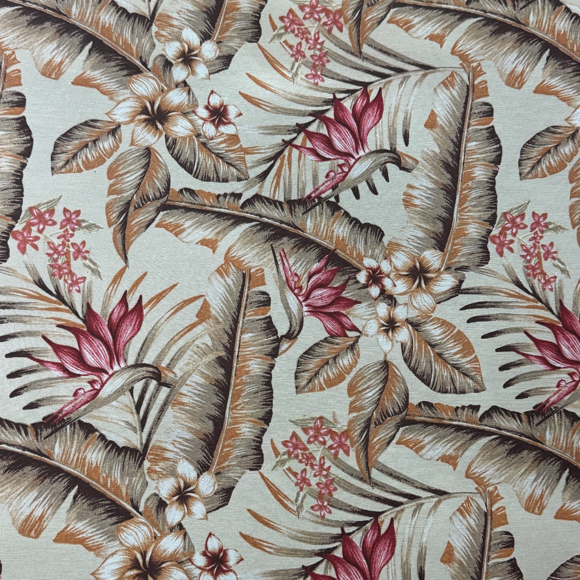 tecido estrelicia bege