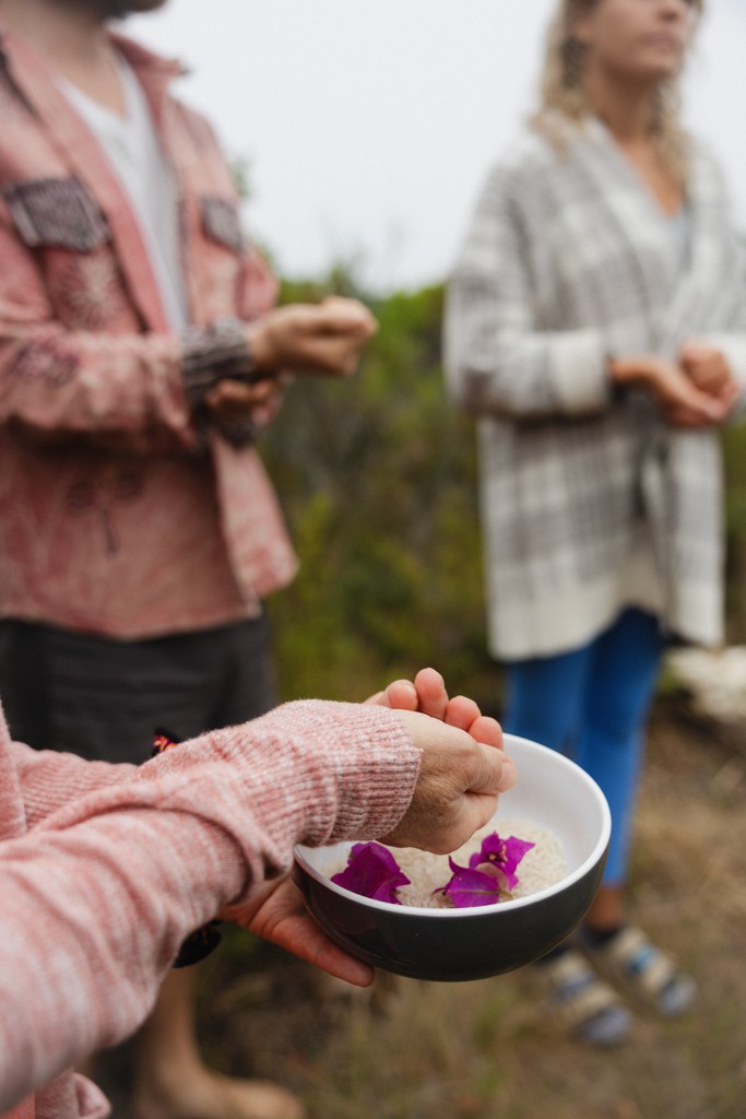 a tree with many branches and leaves