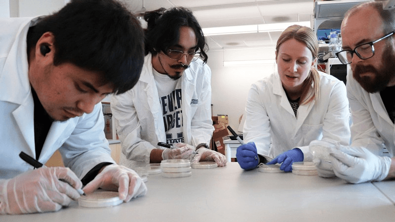 High school student conducting biochemistry research with a PhD mentor reviewing molecular data on a laptop