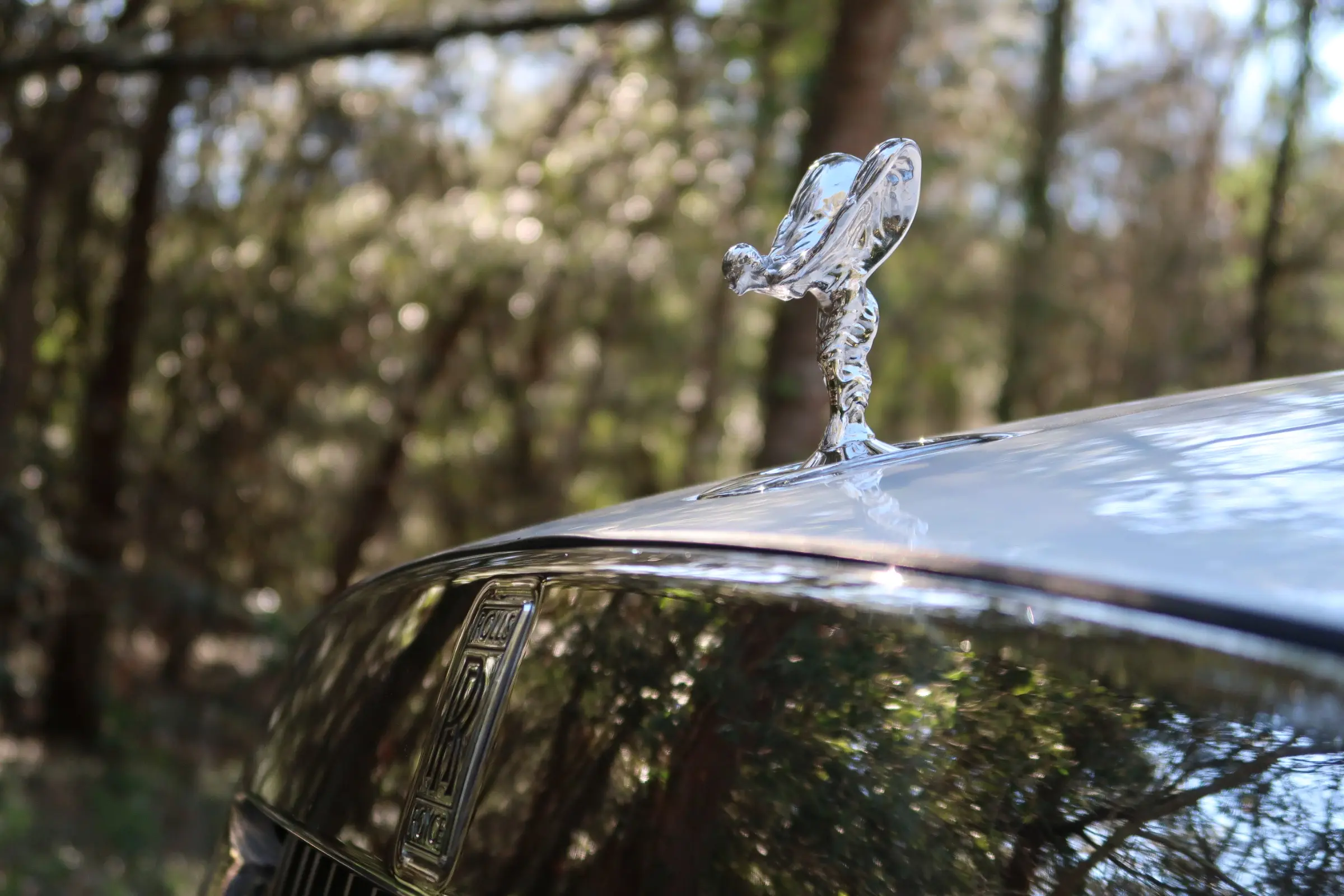 Rolls-Royce Chauffeur Monaco