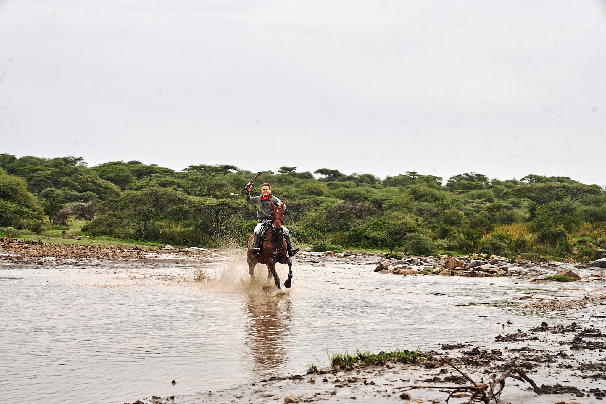 Grupp av ryttare på ridresa i Afrika galopperar över Serengetis vidsträckta slätter medan damm och gnuhjordar rör sig över horisonten under the great migration.