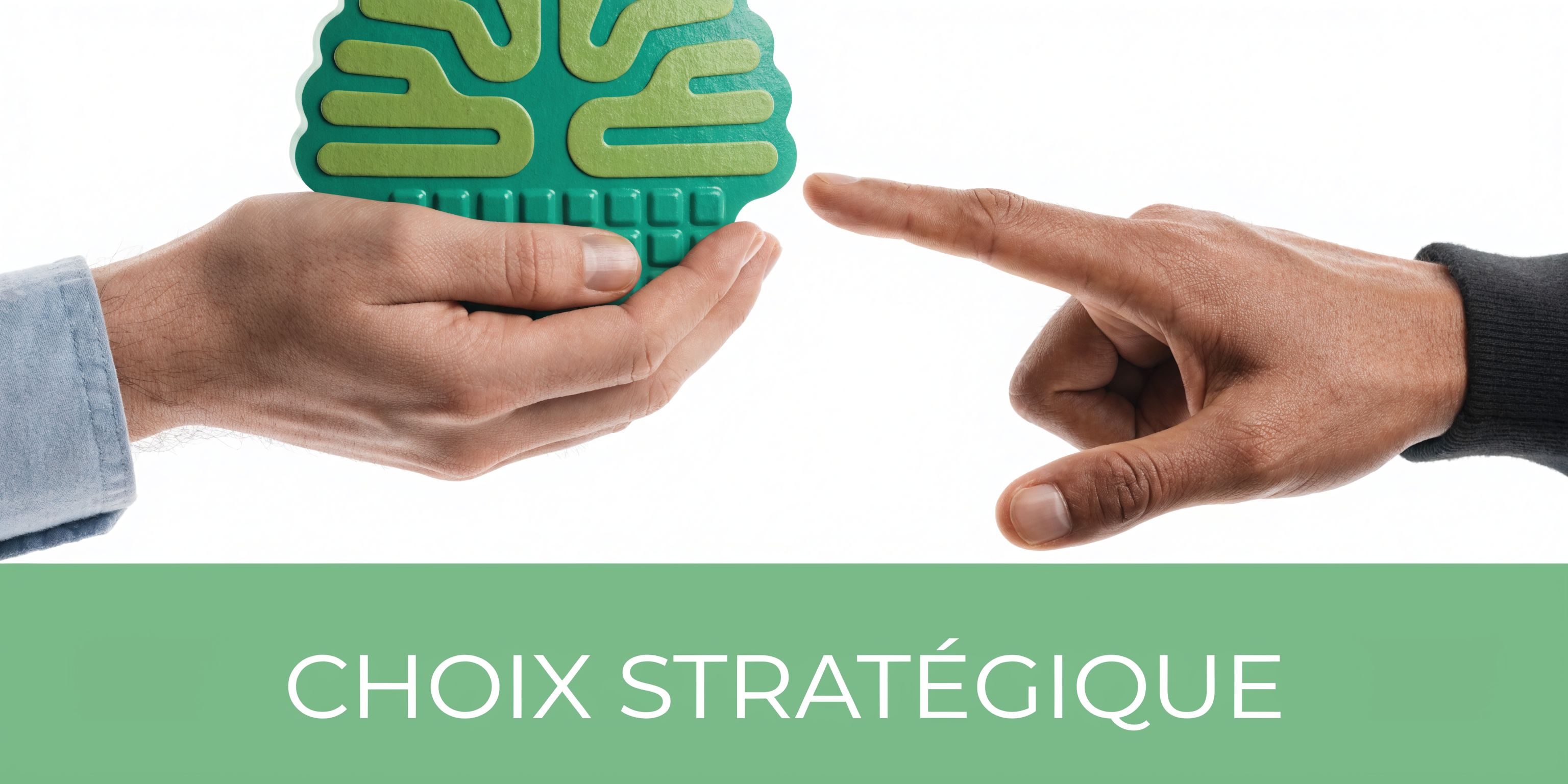 Deux mains interagissant avec un modèle de cerveau vert symbolisant la prise de décision et la stratégie.
