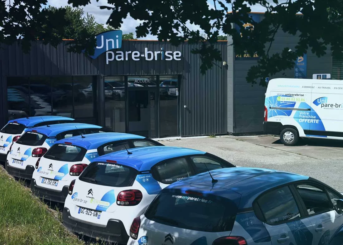 franchise big smash burger