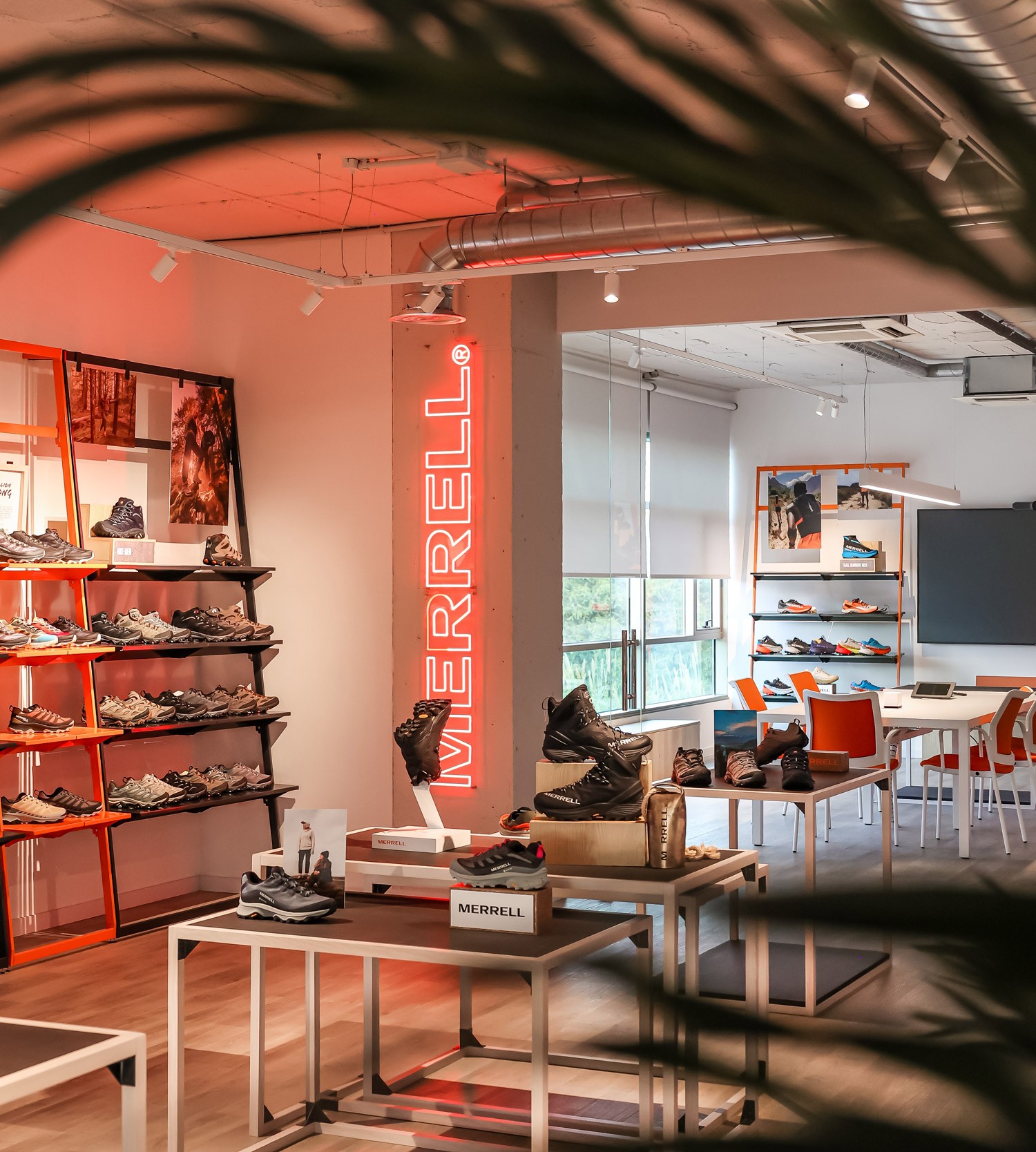 Showroom Design