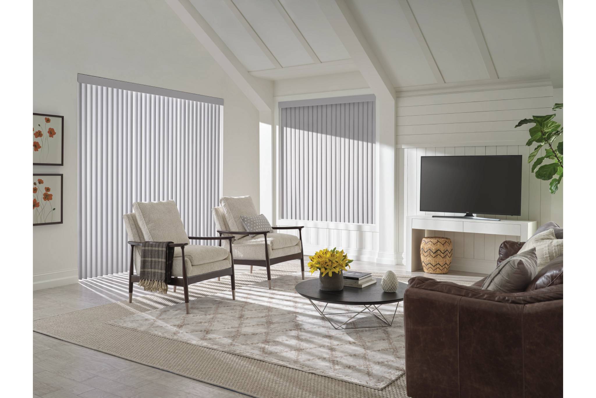 Cadence Soft Vertical Blinds in Living Room