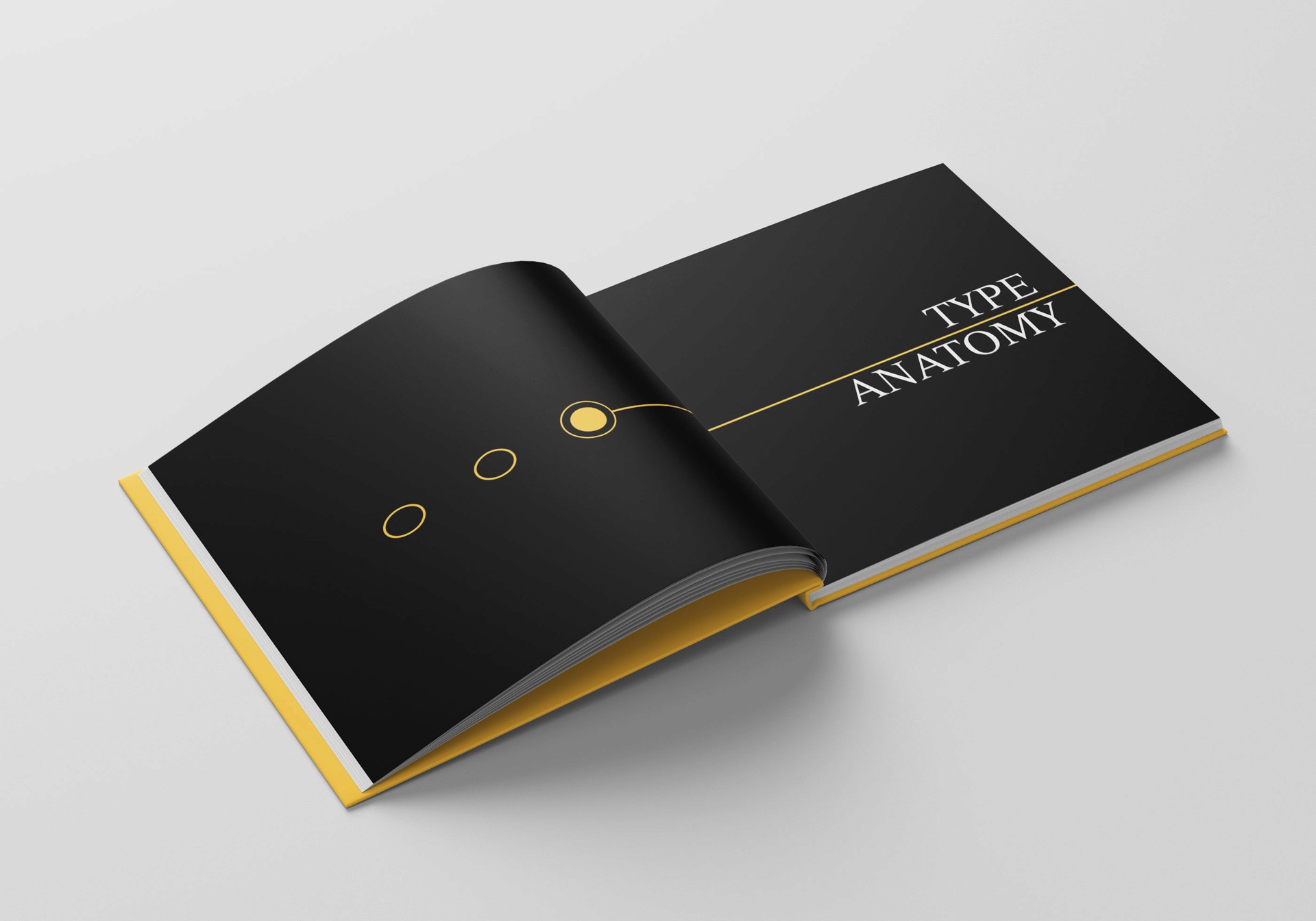 book open to a spread mostly black with the words Type and anatomy