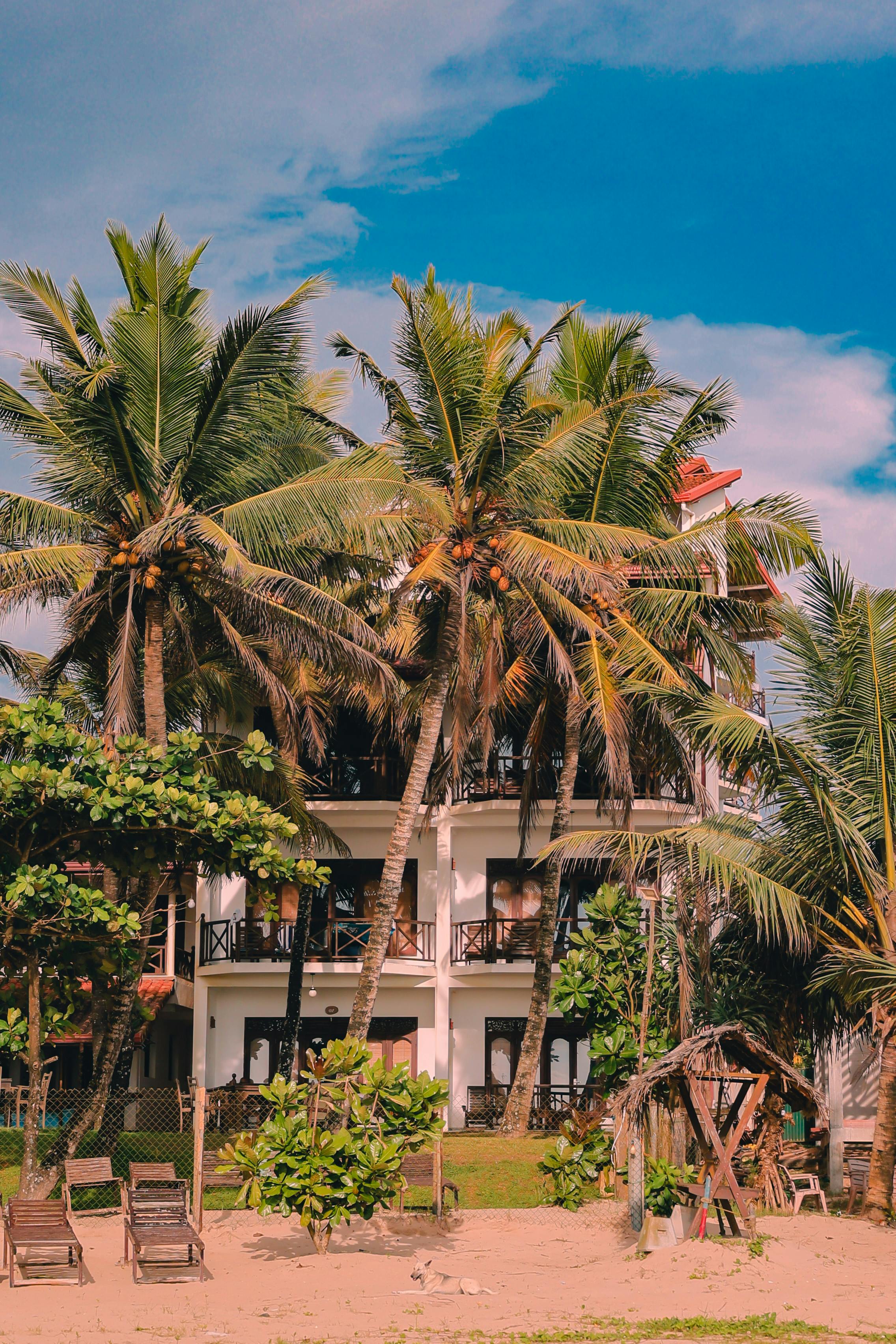 The interior of the Botanical cafe in Vienna
