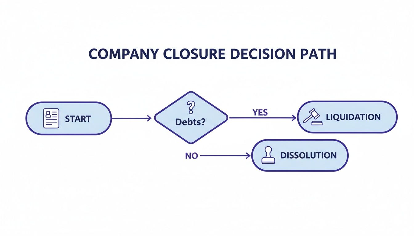 Flowchart showing company closure decision path: Start, Debts? Yes to Liquidation, No to Dissolution.