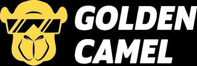 a black and white living room with a large tv