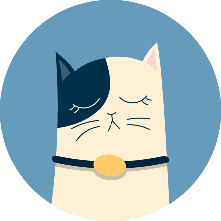 Illustration of the cat with colorful background