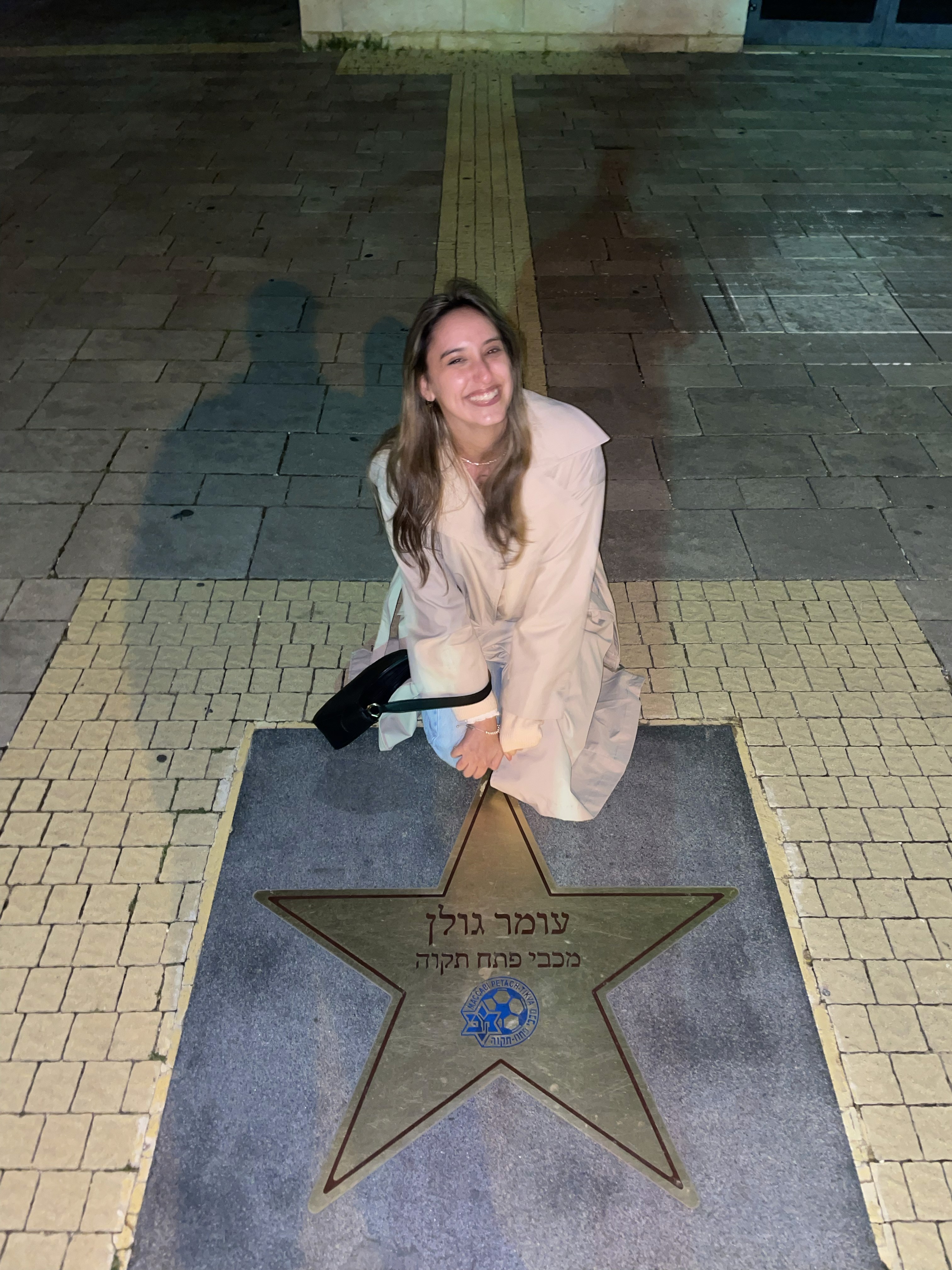 Magnetic repel image