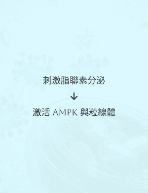 一把白色的椅子和一張白色的桌子