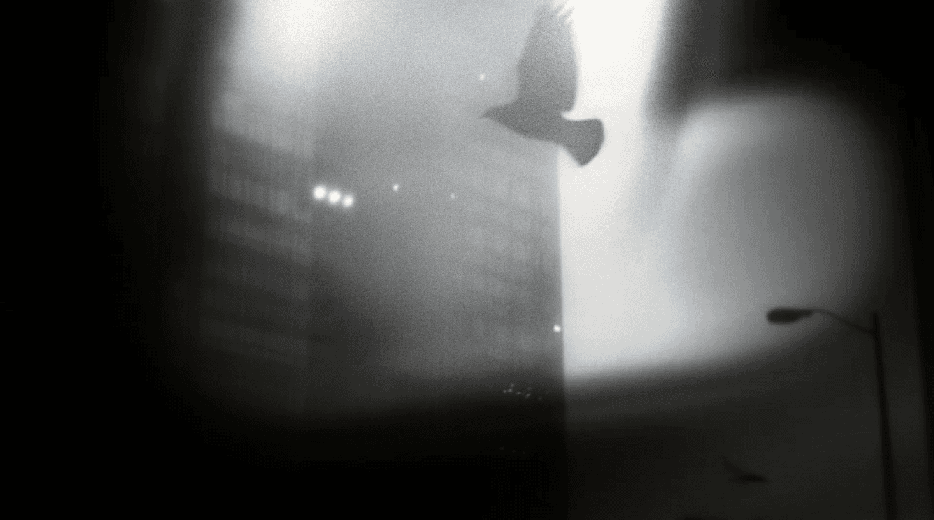 The image featured at the top of the about us page #1