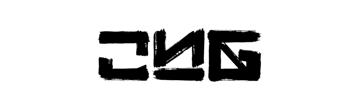 Chasing Gains Coaching logo — online personal training and fitness coaching