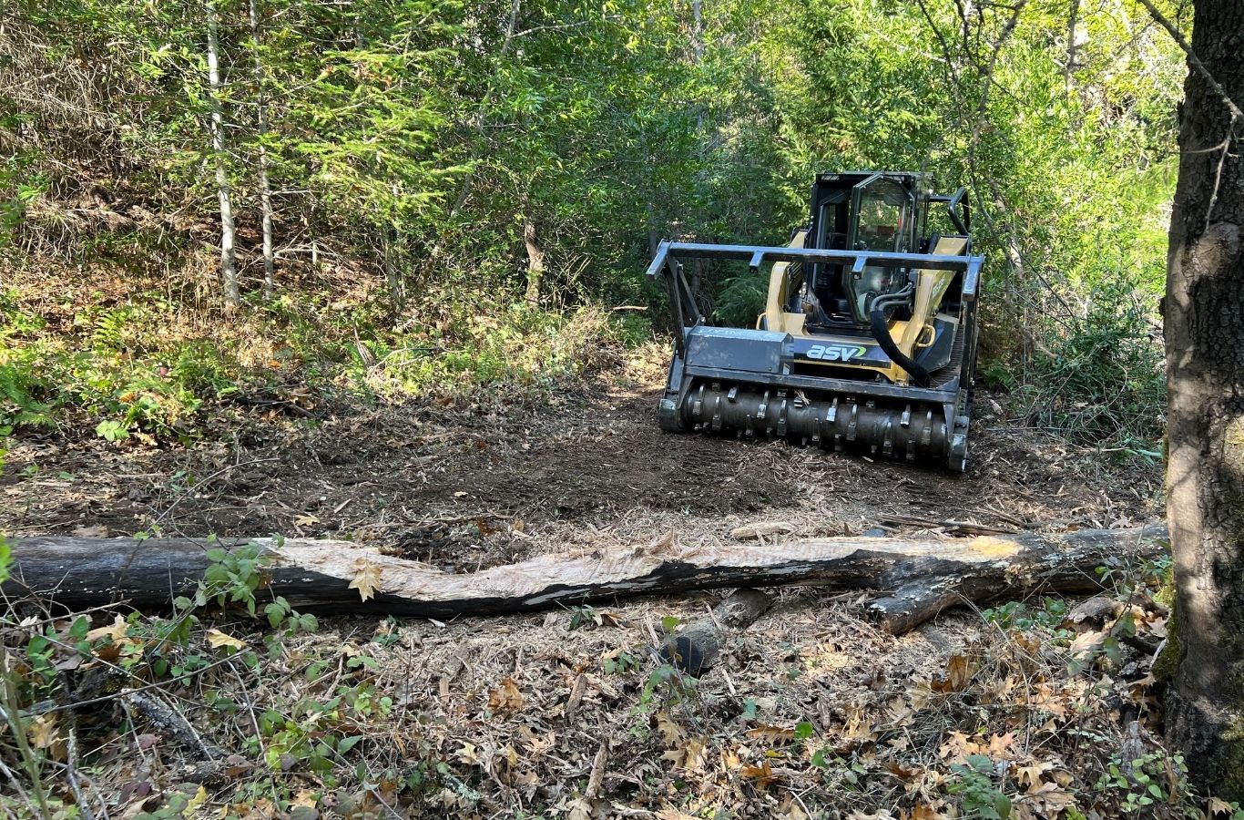 Lisac General Engineering expert performing land clearing services in Santa Cruz, CA with professional tools and site prep expertise. Land Clearing Services Near Me.