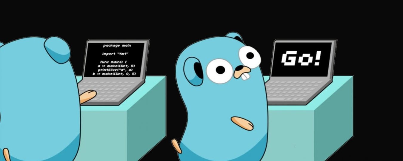 GoLang logo for Saas development