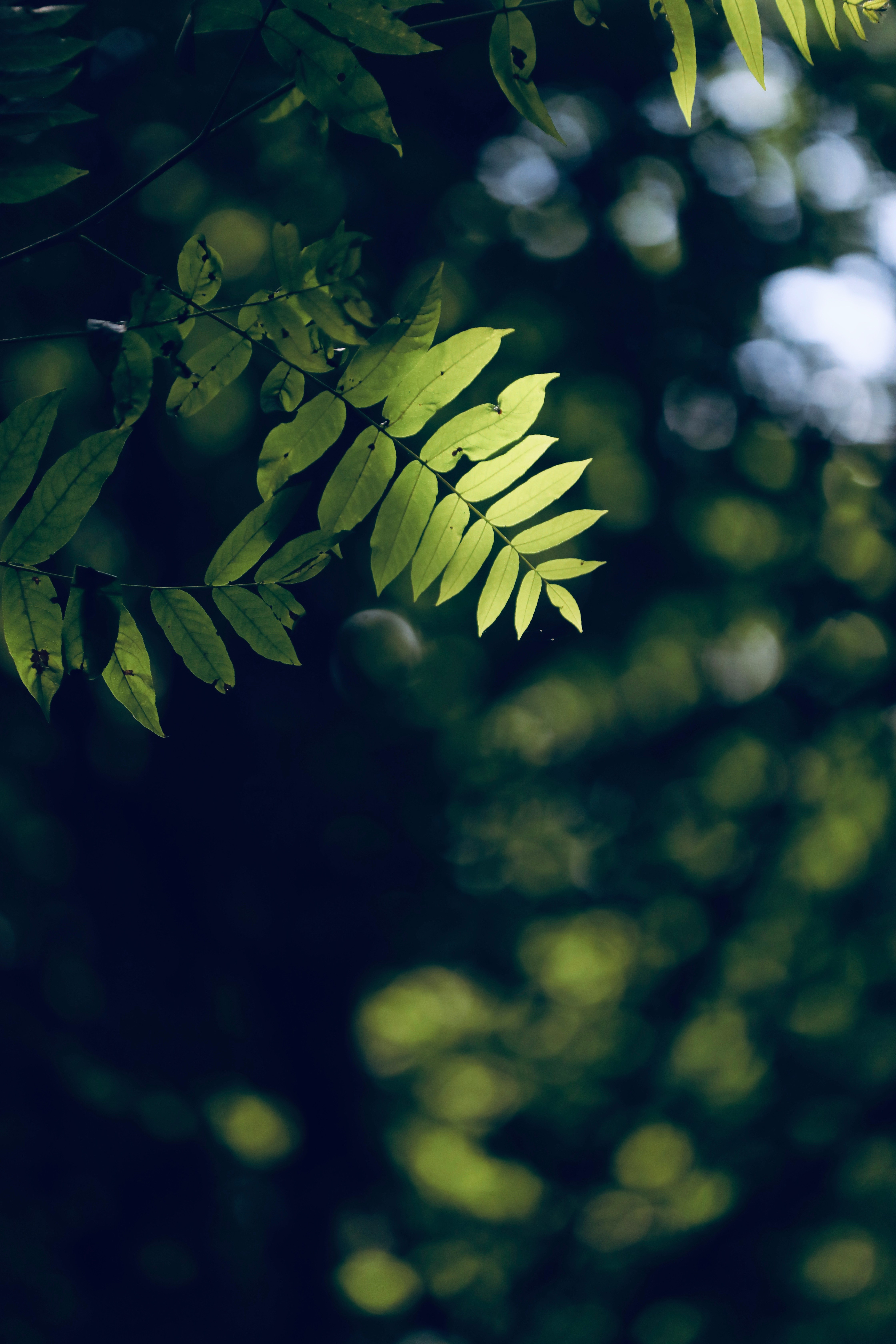 Photo: https://unsplash.com/@elnazasadi