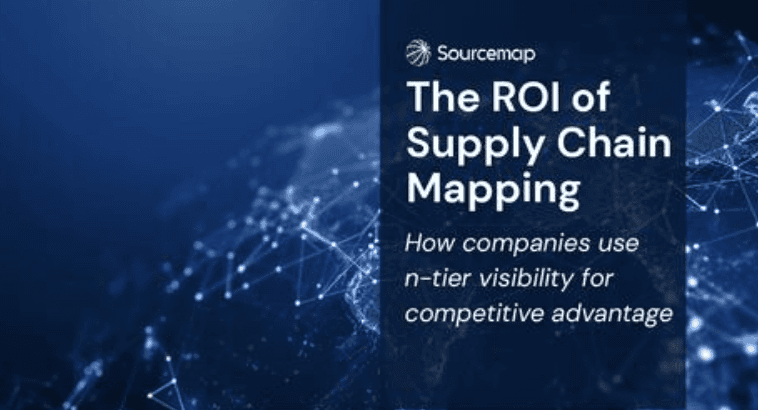 ROI of Supply Chain Mapping