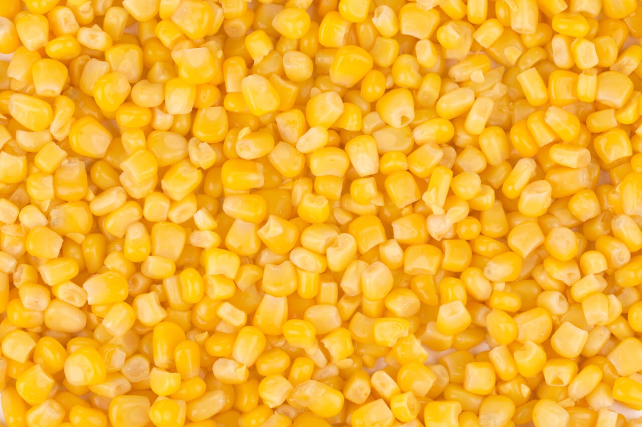 Corn grains