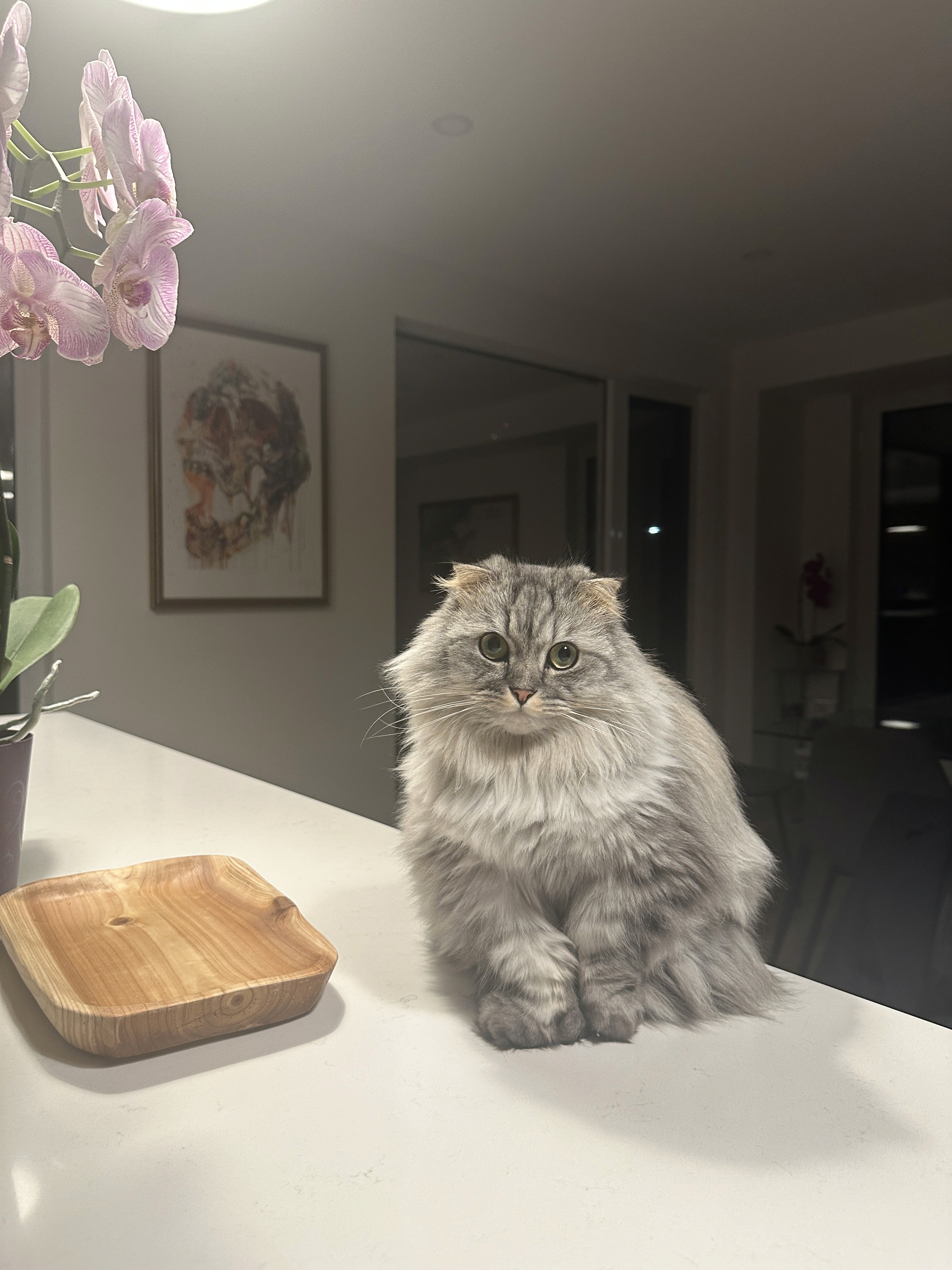 Felt board poster with the words "Whatever it takes"