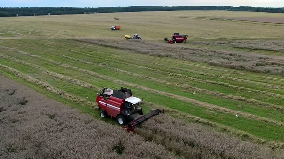 Intensive and Extensive Farming.jpeg