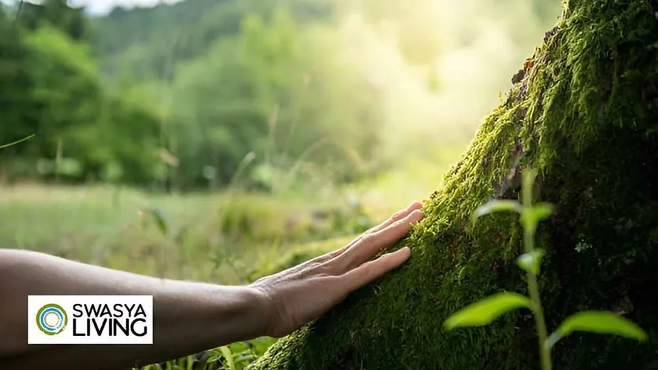 How to Connect with Nature