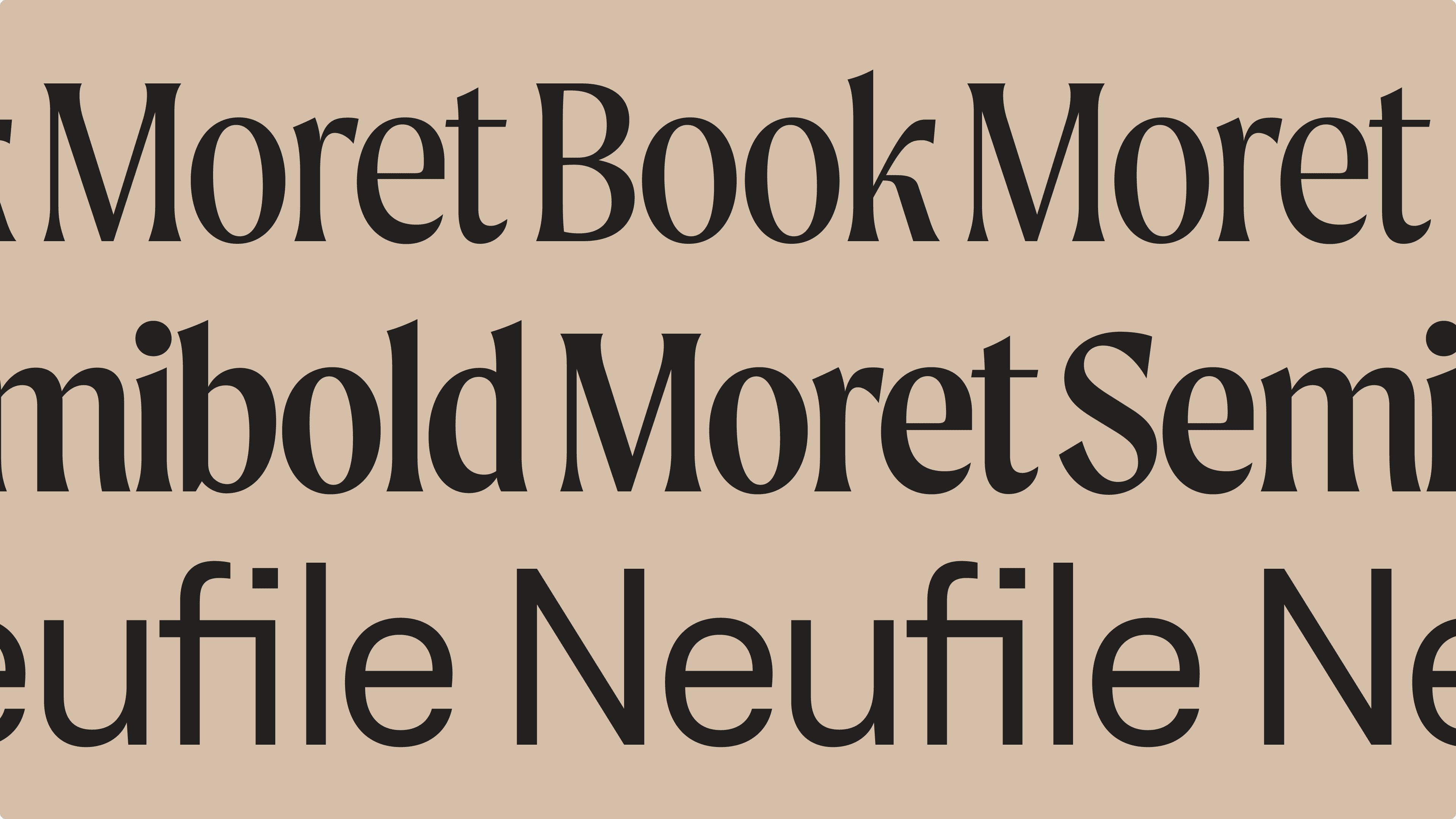 Beefsteak loading screen