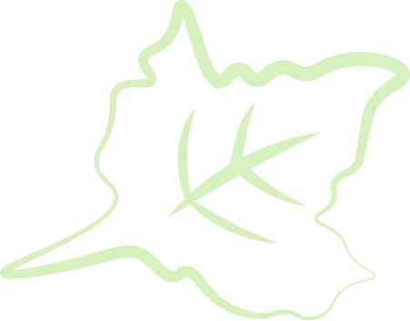 Vegetable Image